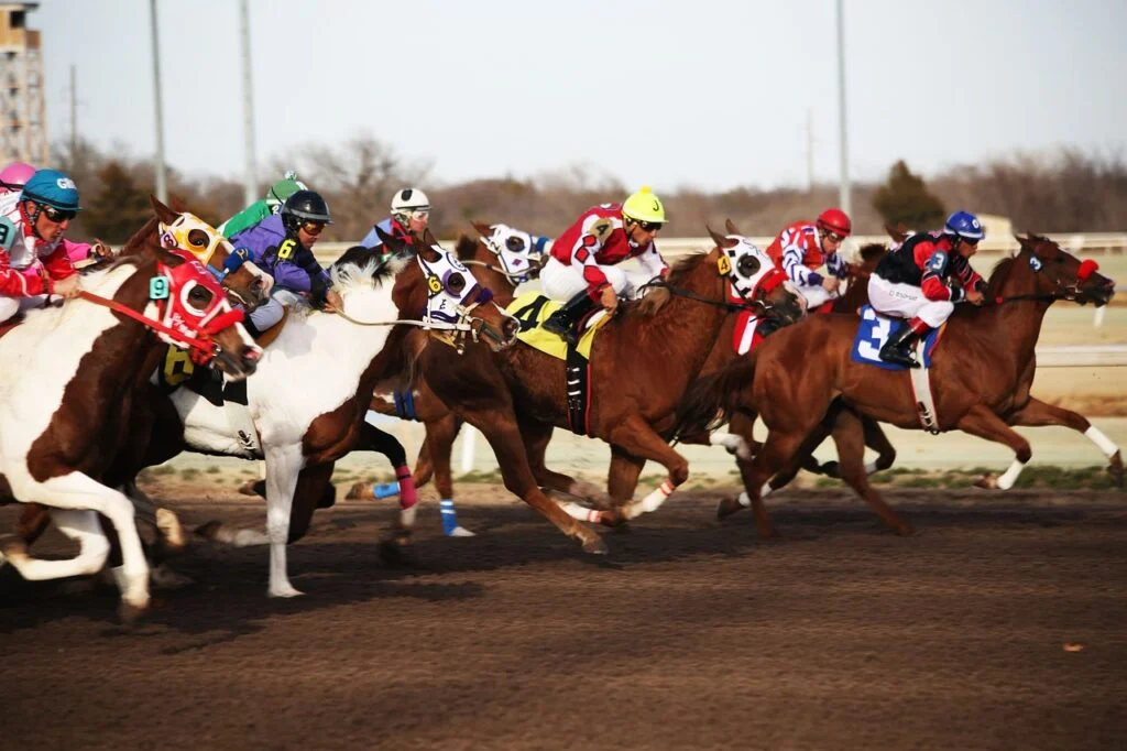 horses, horse racing, racetrack-2523299.jpg