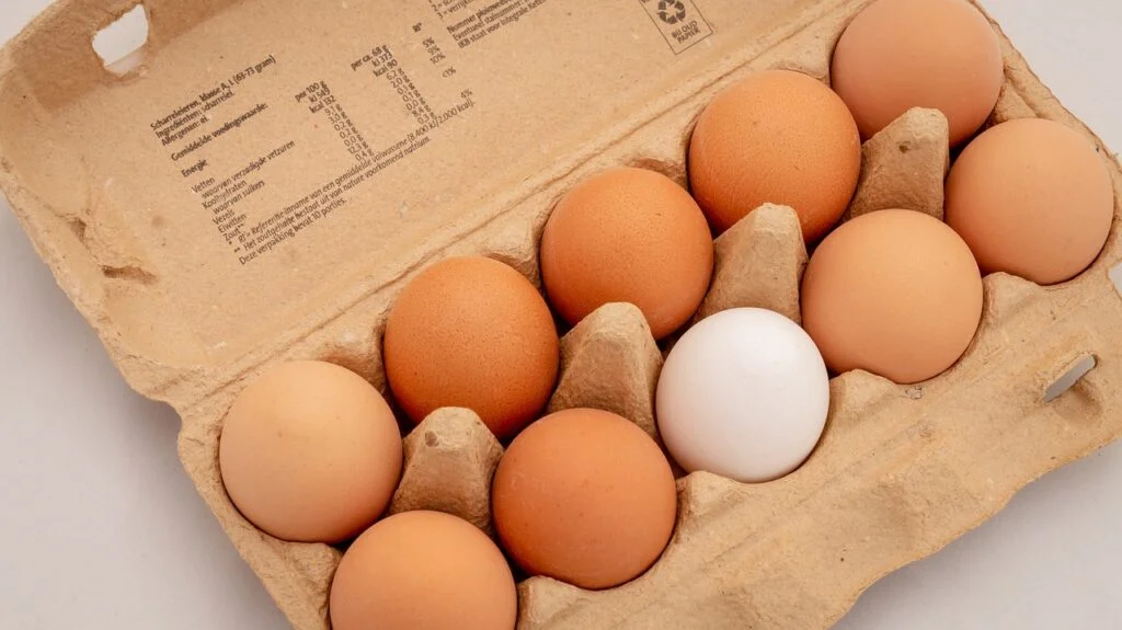eggs, ten, field-3446869.jpg