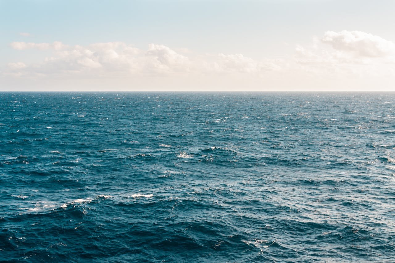 nothing | English for the Planet