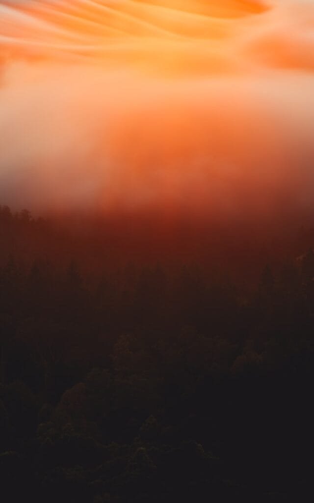 a red sky with clouds and trees in the foreground